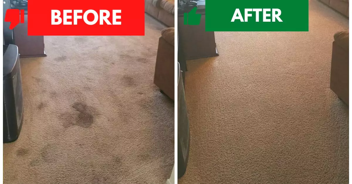 Before and After Carpet Cleaning