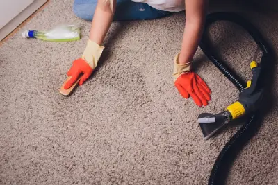 Carpet Stain Removal